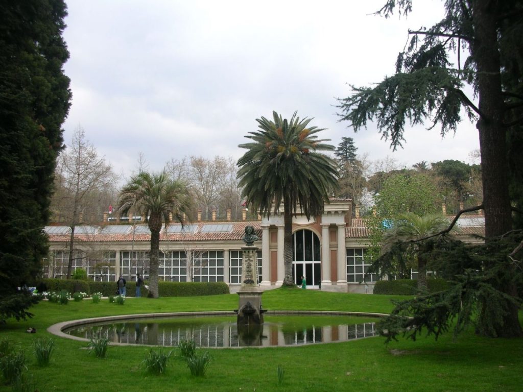 Real_Jardín_Botánico_Madrid_07