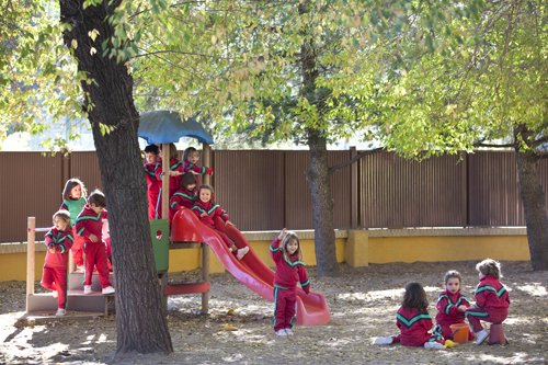 MG_6416web500