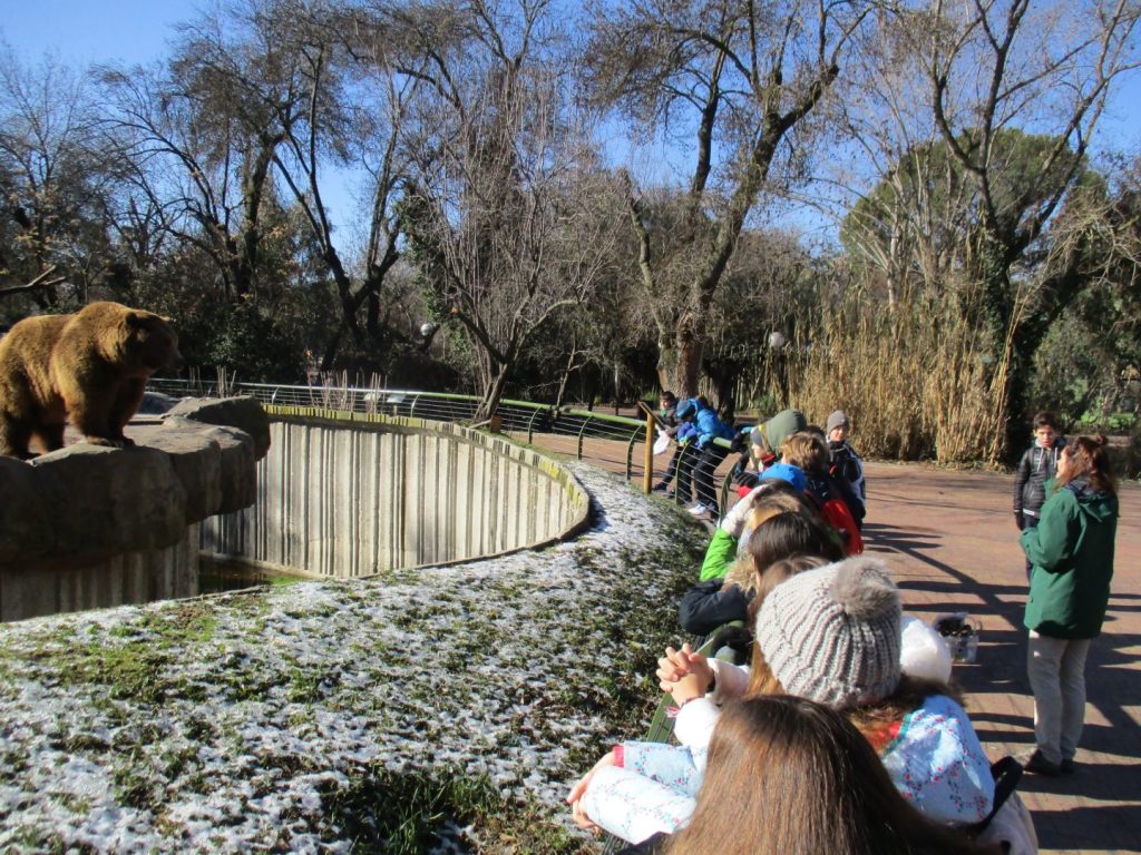 TEMS Zoo de Madrid