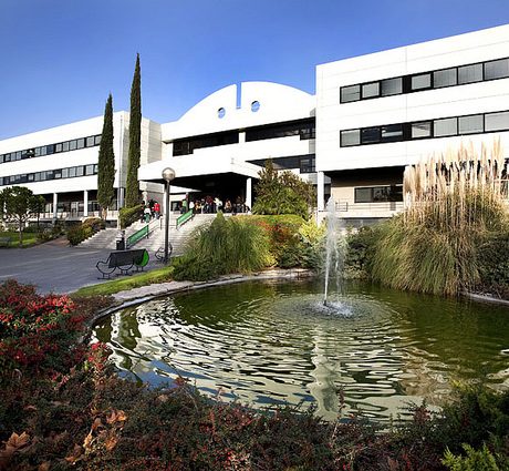 universidad europea
