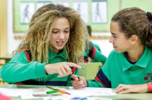 primaria-tems-trabajo-equipo