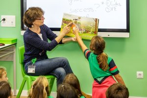primaria-tems-lectura