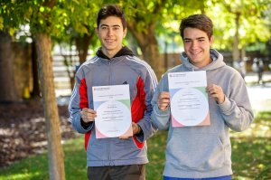 bachillerato-tems-a-levels