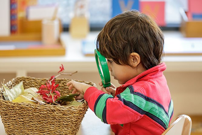 montessori the english montessori school madrid