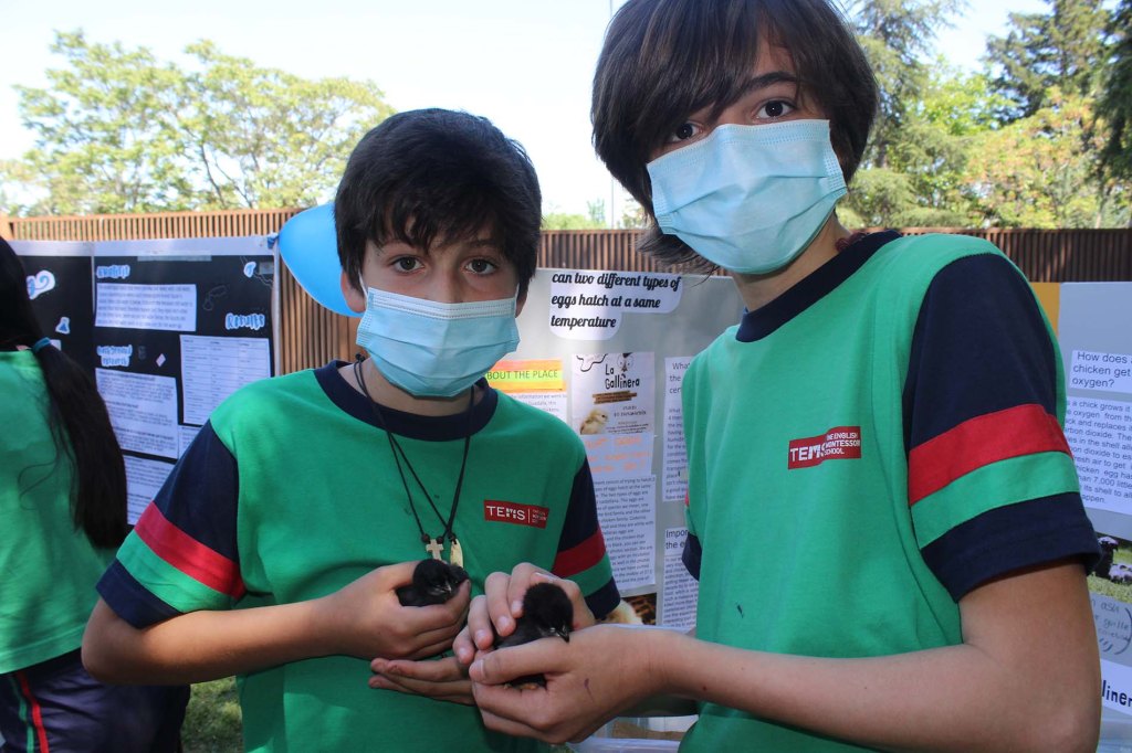 science tems